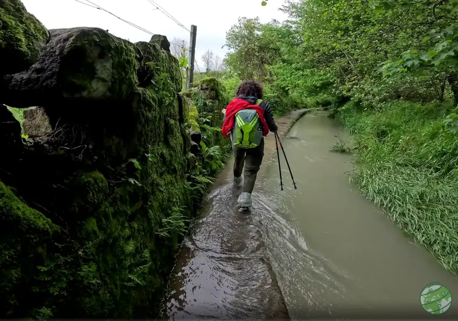 Caminho de Santiago Alagado