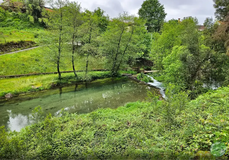dia 4 caminho santiago portugues