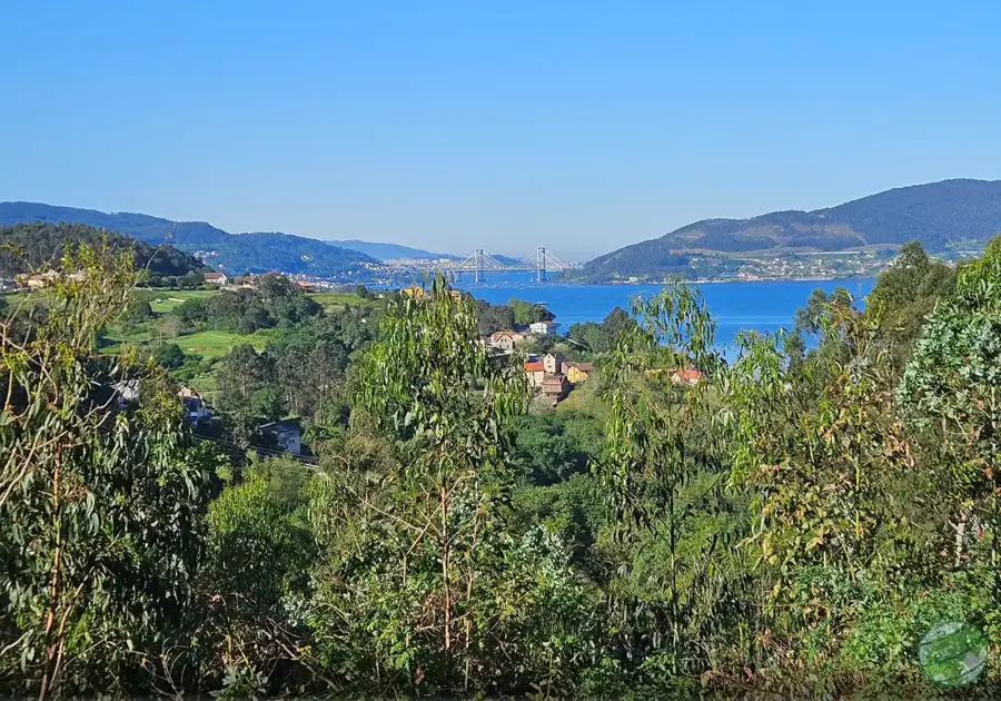 Ria de Vigo