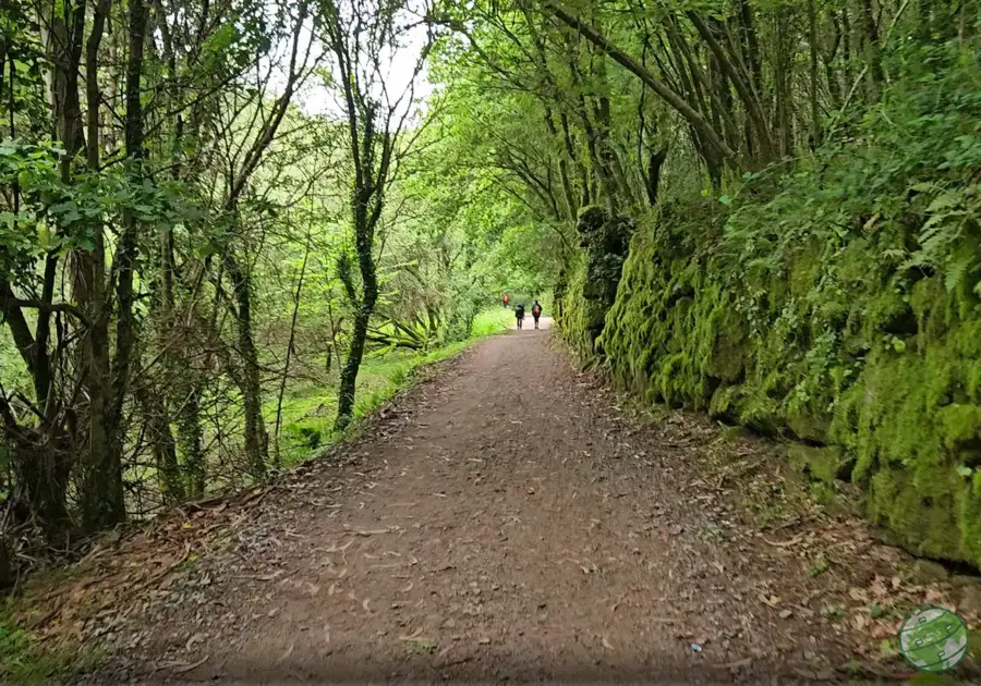 Secções de natureza do Caminho