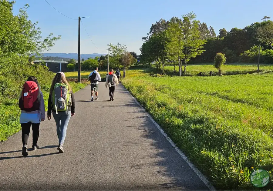 ultimo dia caminho santiago