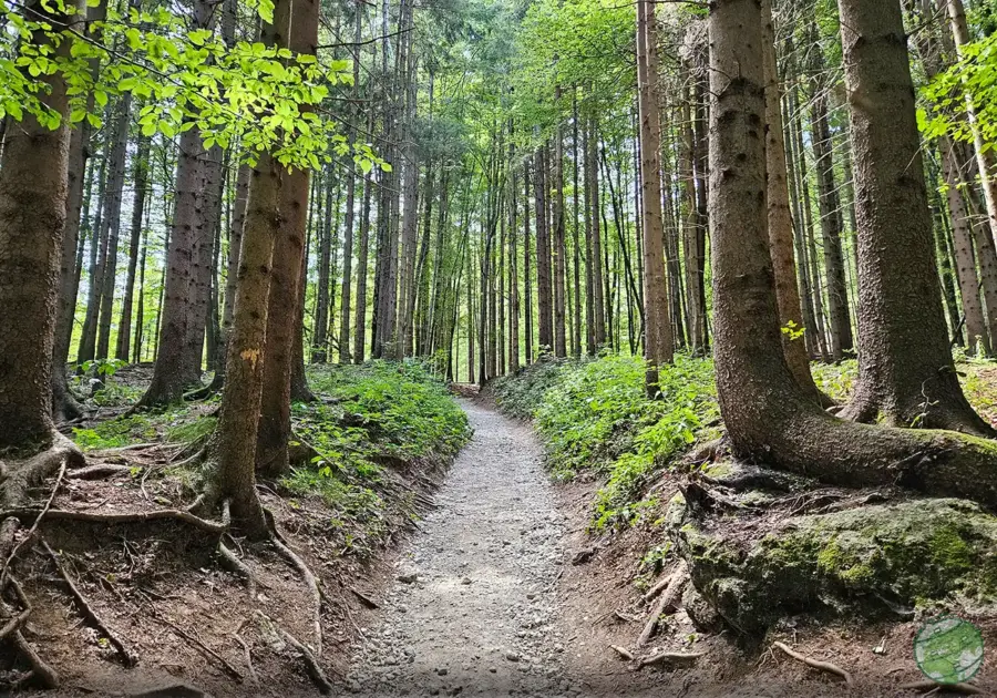 Trilho do Rio das Árvores