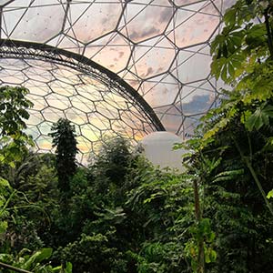 eden project biome