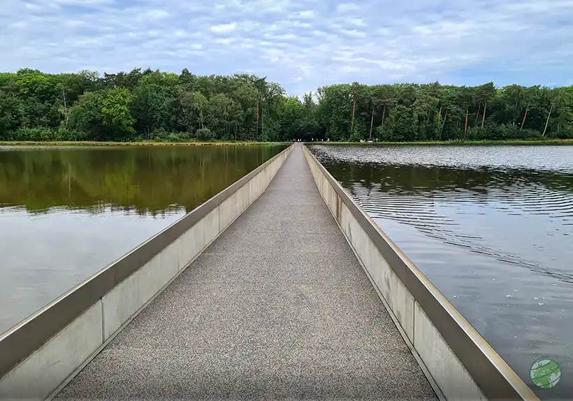 Cycling through Water