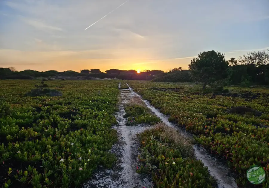 sunrise in Cavaleiro